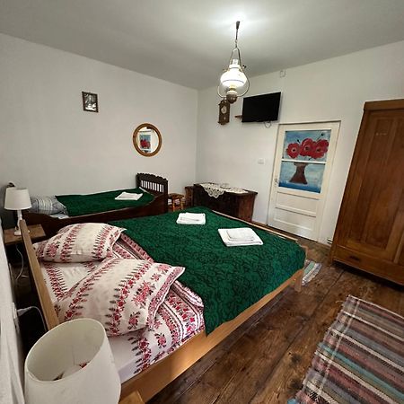 Гостьовий будинок Casa Pe Valea Hartibaciului Barcut Екстер'єр фото
