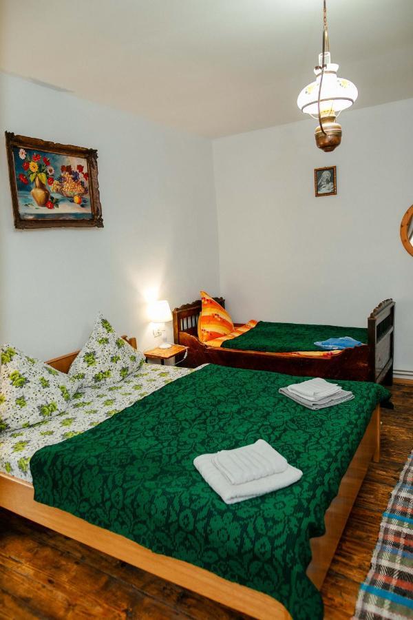 Гостьовий будинок Casa Pe Valea Hartibaciului Barcut Екстер'єр фото