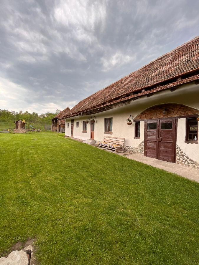 Гостьовий будинок Casa Pe Valea Hartibaciului Barcut Екстер'єр фото