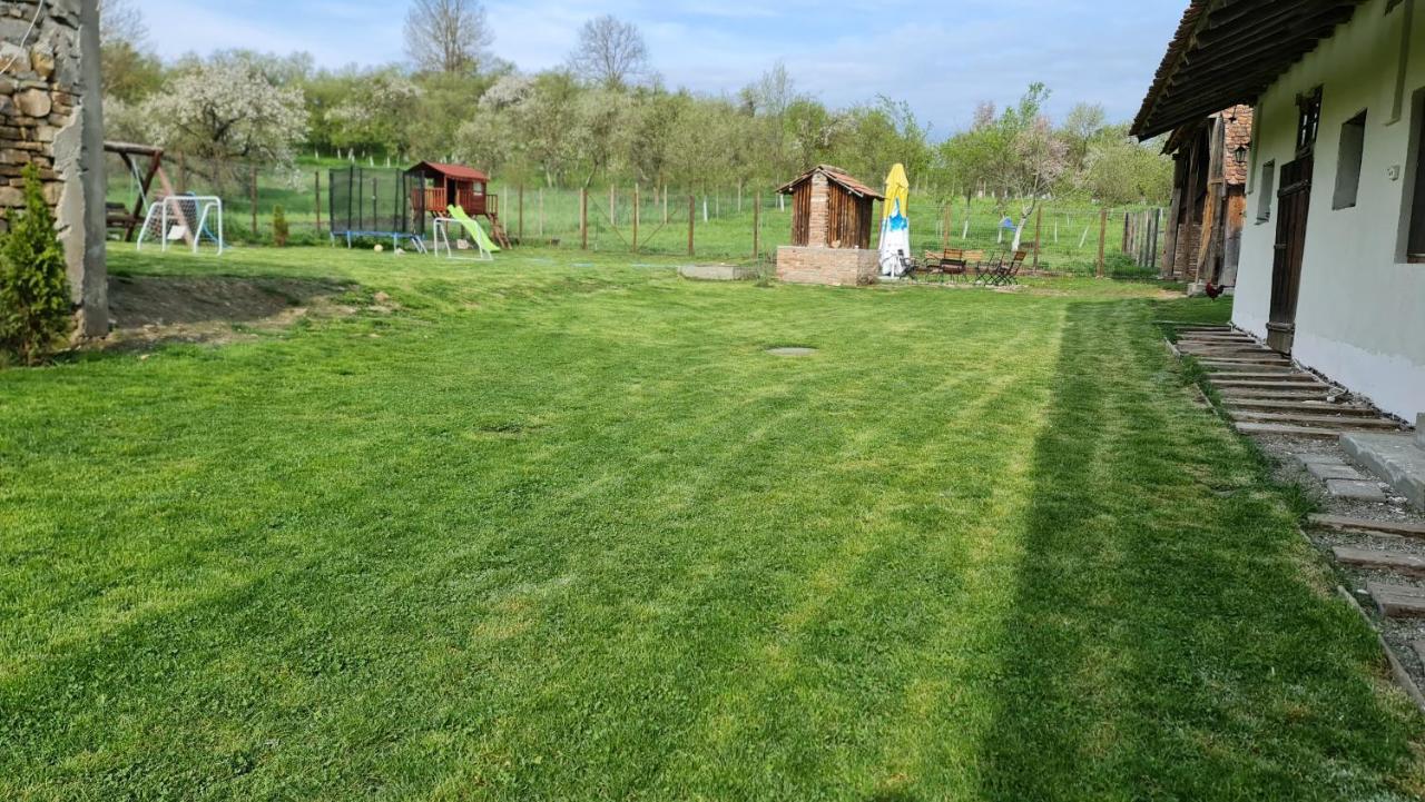 Гостьовий будинок Casa Pe Valea Hartibaciului Barcut Екстер'єр фото