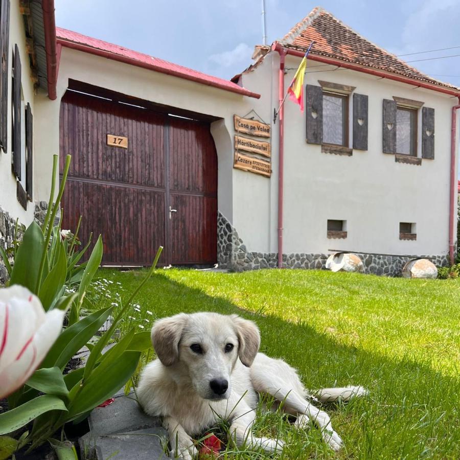 Гостьовий будинок Casa Pe Valea Hartibaciului Barcut Екстер'єр фото