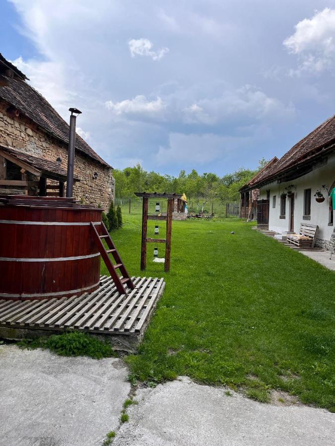 Гостьовий будинок Casa Pe Valea Hartibaciului Barcut Екстер'єр фото