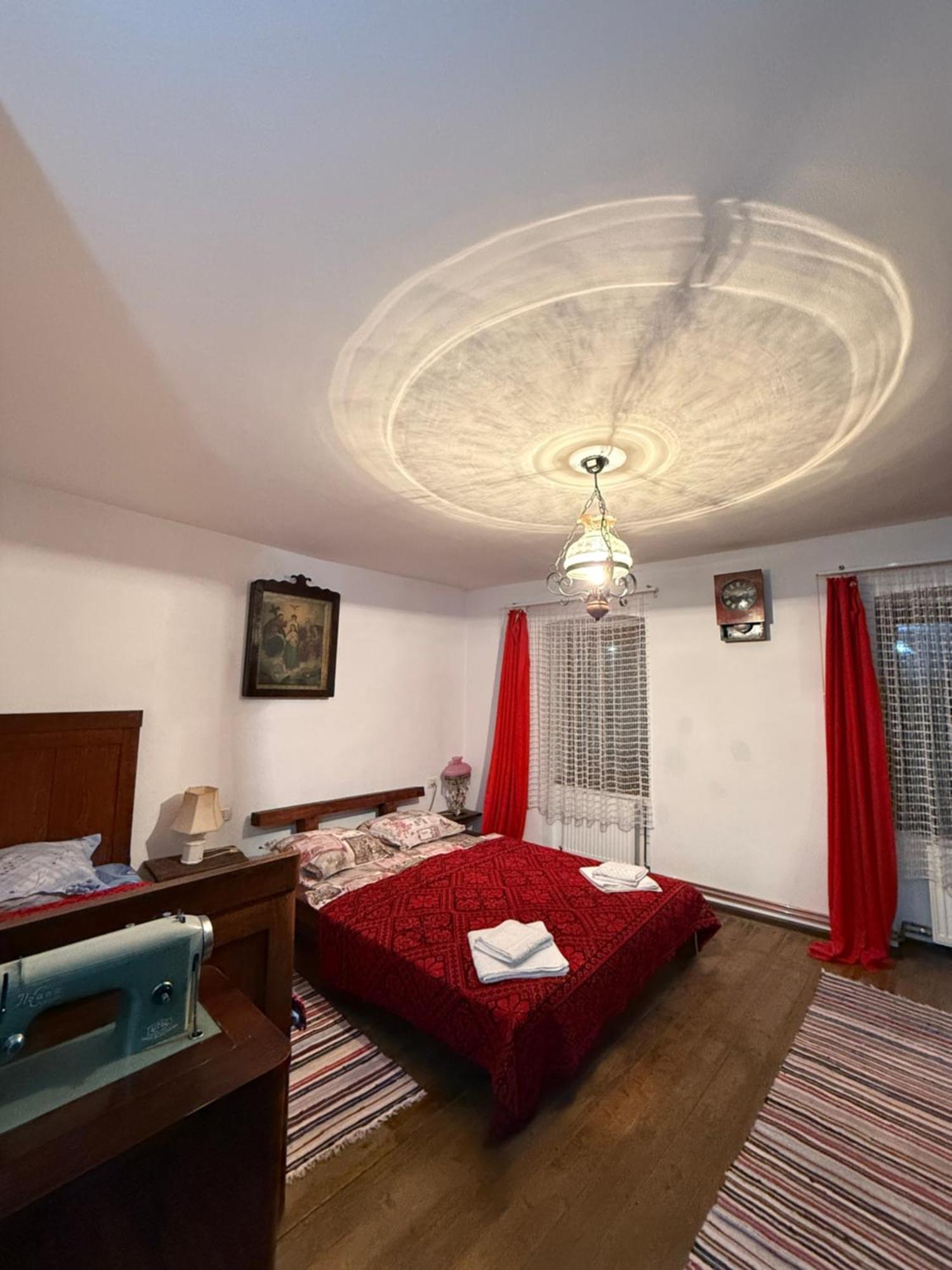 Гостьовий будинок Casa Pe Valea Hartibaciului Barcut Екстер'єр фото